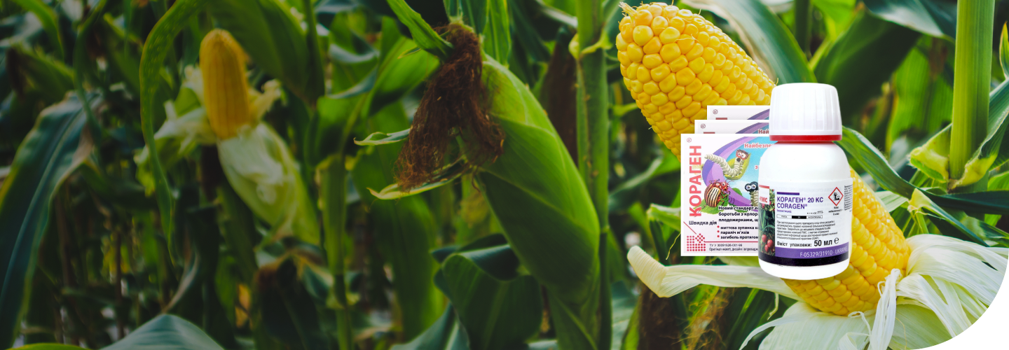 Кораген –   против чешуекрылых вредителей