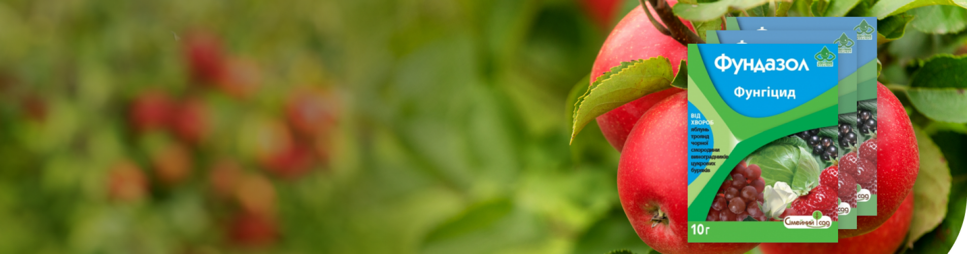 Фундазол - контактний фунгіцид та протруйник Фундазол - контактний фунгіцид та протруйник