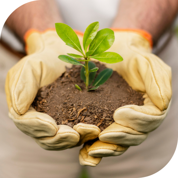 Захист рослин