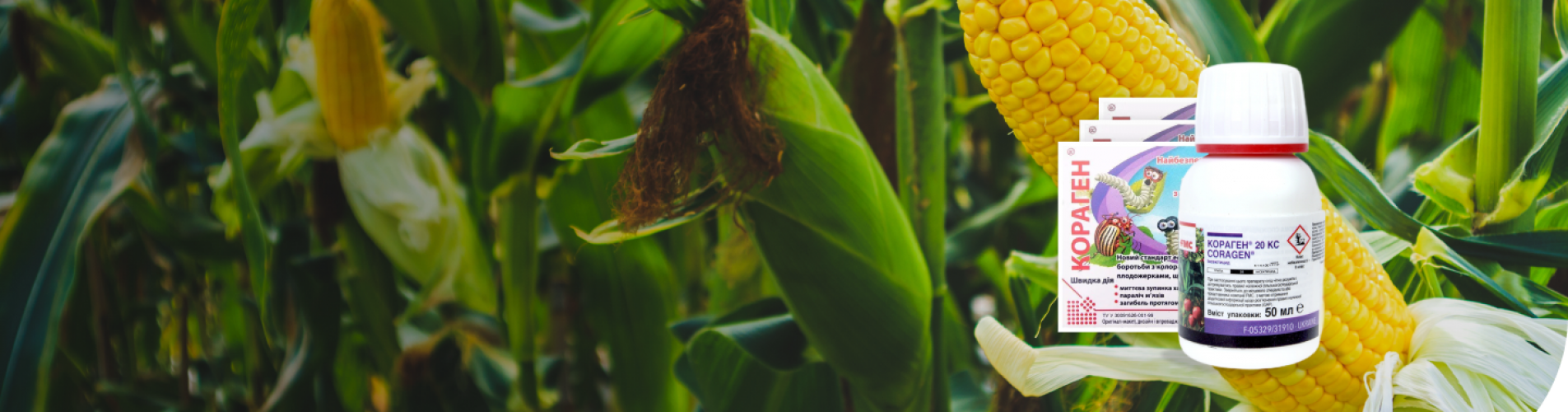 Кораген – проти лускокрилих шкідників Кораген – проти лускокрилих шкідників