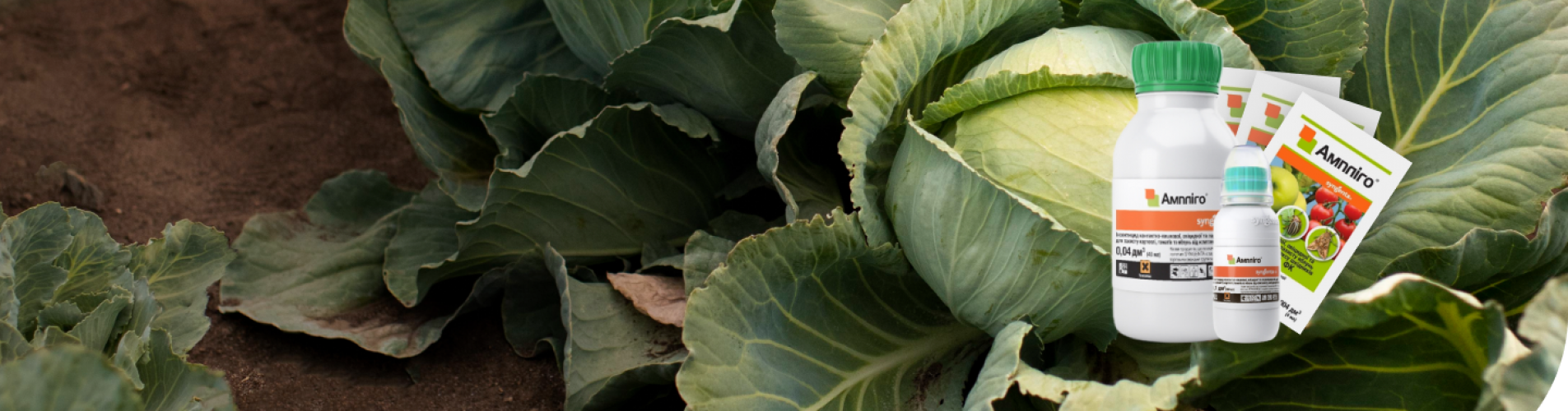 Ампліго - інсектицид широкої дії Ампліго - інсектицид широкої дії