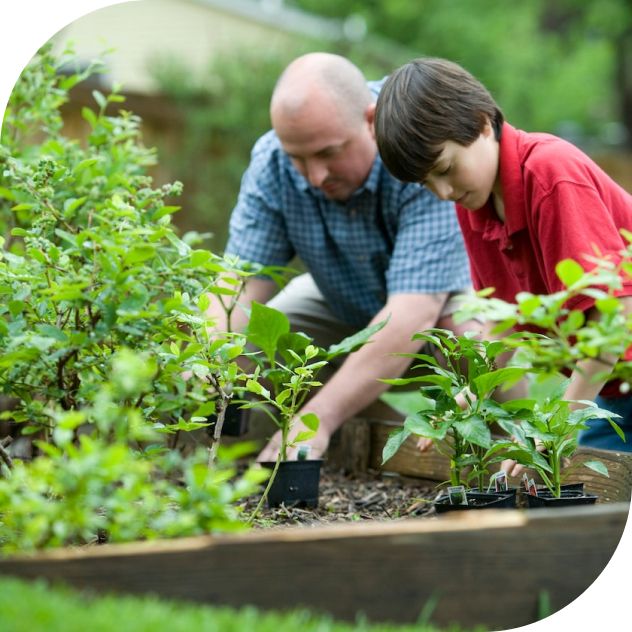 Чому саме ми Чому саме ми